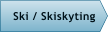 Ski / Skiskyting